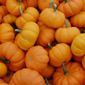 Pumpkin Power: Nutritional and Digestive Benefits of Pumpkin